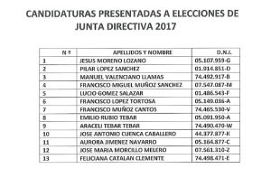 candidaturas_elecciones_2017