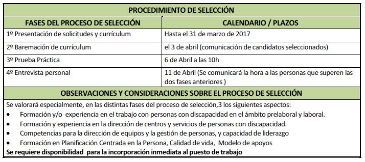 oferta empleo director servicio2