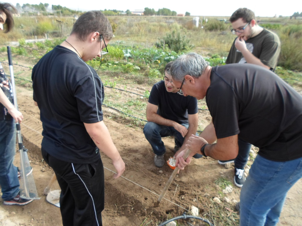 aprender-enseñando-cee-almansa6